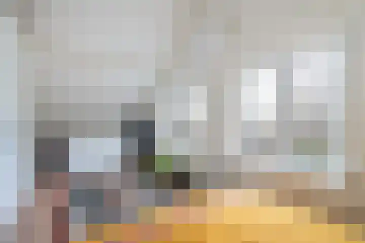 Speltstraat 6 Haler thumbnail 27