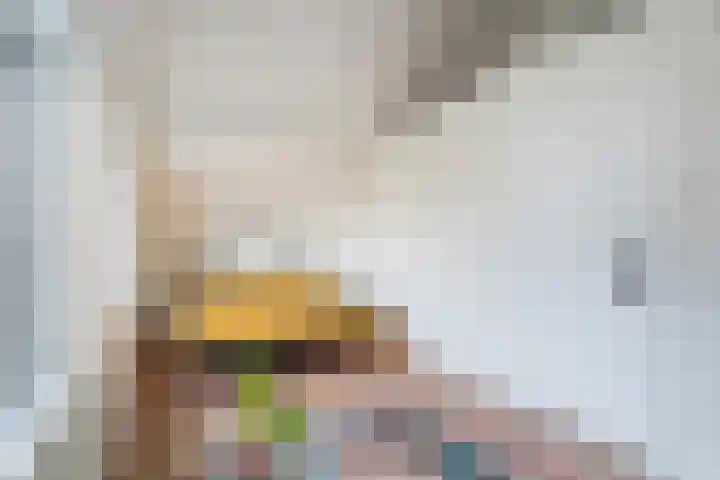 Speltstraat 6 Haler thumbnail 28
