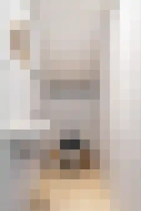 Speltstraat 6 Haler thumbnail 31
