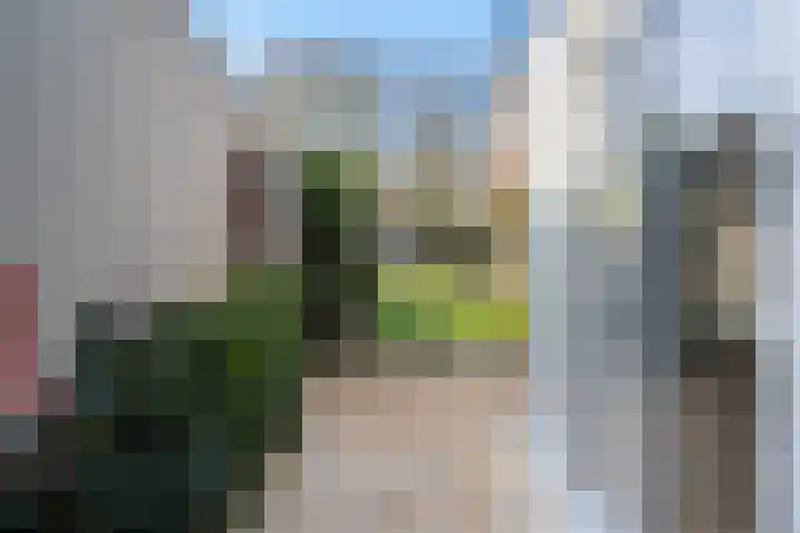 Speltstraat 6 Haler thumbnail 32
