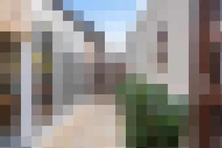 Speltstraat 6 Haler thumbnail 33