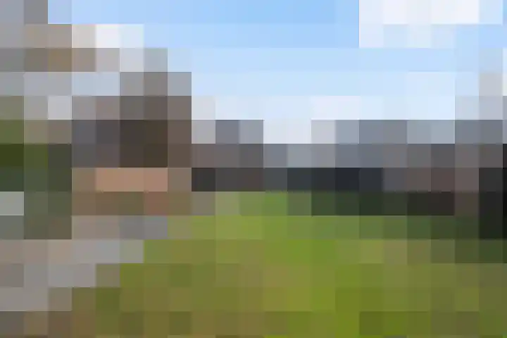 Speltstraat 6 Haler thumbnail 37