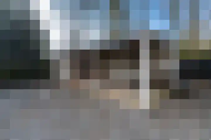 Speltstraat 6 Haler thumbnail 39