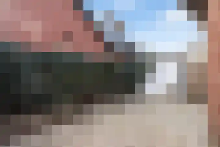 Speltstraat 6 Haler thumbnail 40