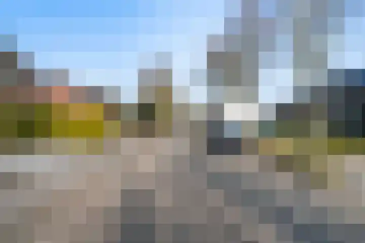 Speltstraat 6 Haler thumbnail 46