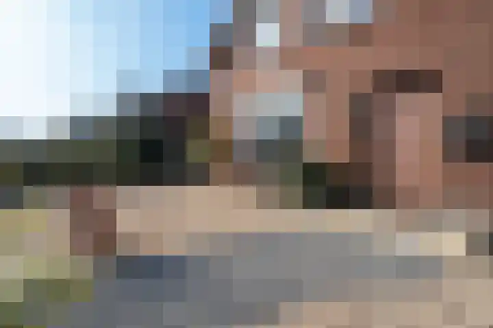 Speltstraat 6 Haler thumbnail 7