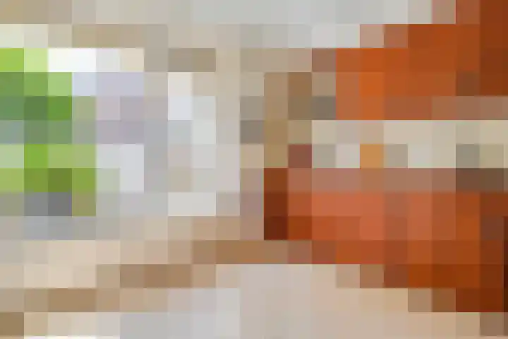 Sperwer 12 Raalte thumbnail 11