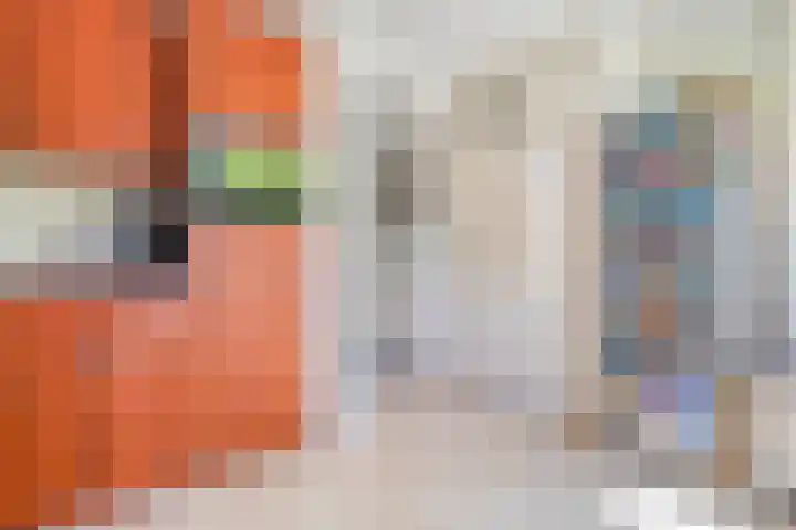 Sperwer 12 Raalte thumbnail 13