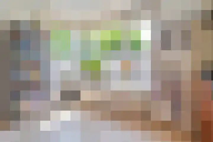 Sperwer 12 Raalte thumbnail 14