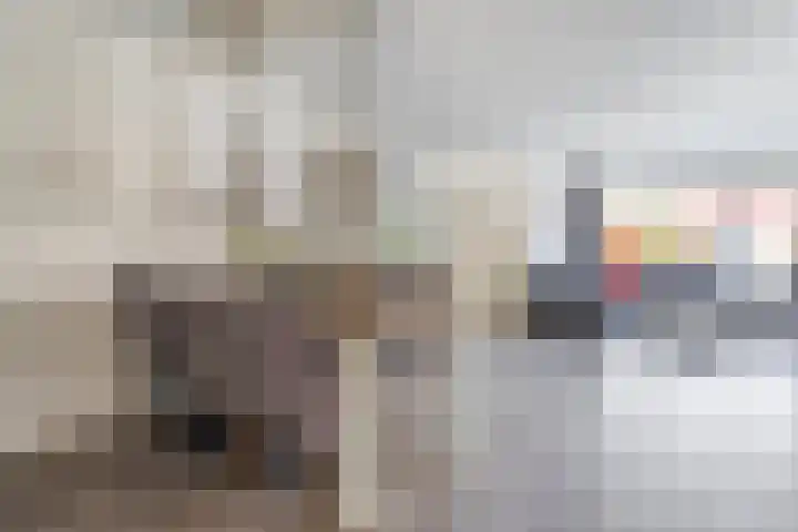 Sperwer 12 Raalte thumbnail 15