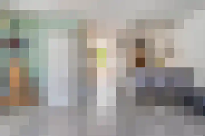 Sperwer 12 Raalte thumbnail 16