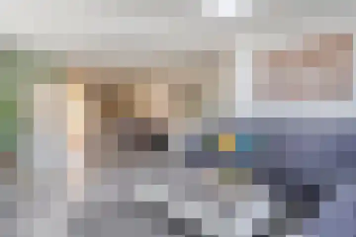 Sperwer 12 Raalte thumbnail 19