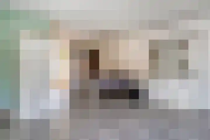 Sperwer 12 Raalte thumbnail 20