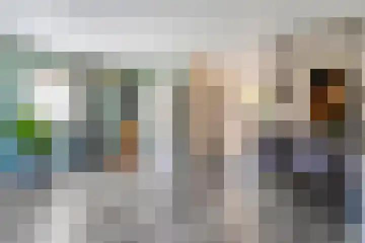 Sperwer 12 Raalte thumbnail 21