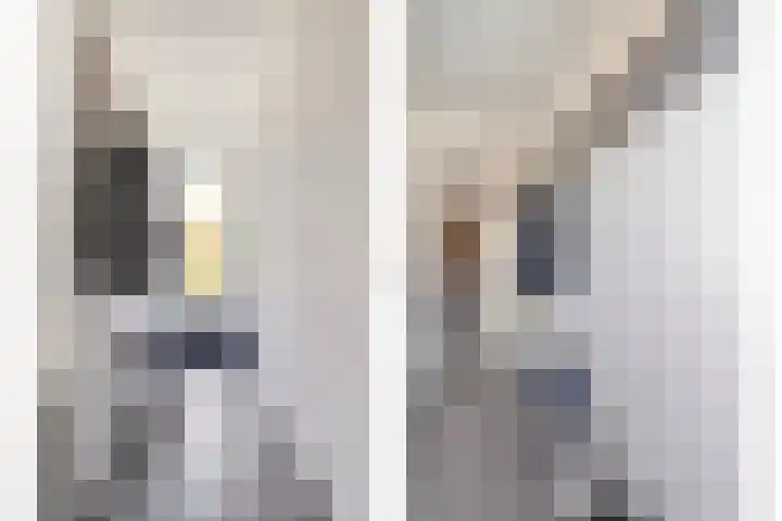Sperwer 12 Raalte thumbnail 22