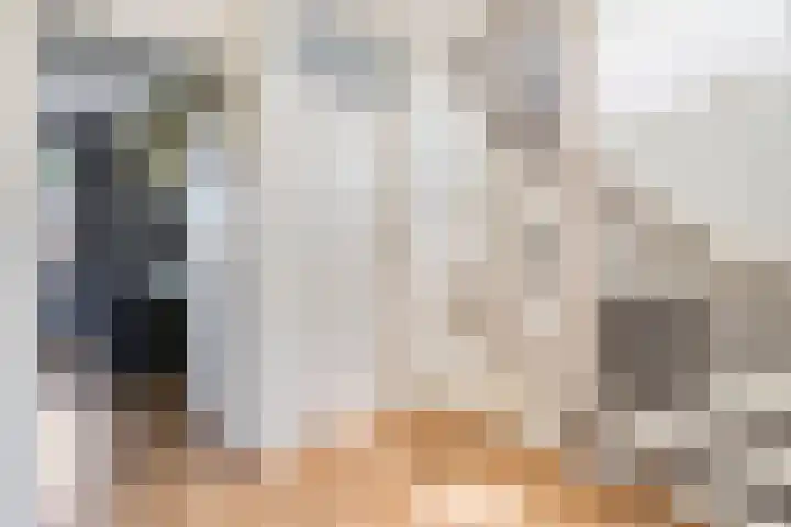 Sperwer 12 Raalte thumbnail 23