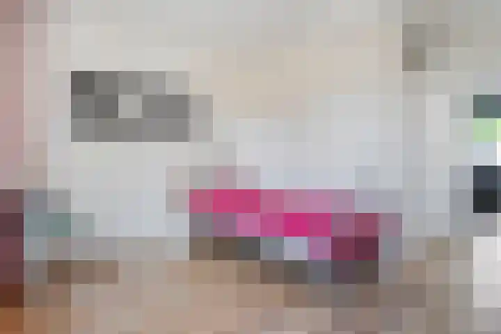 Sperwer 12 Raalte thumbnail 25