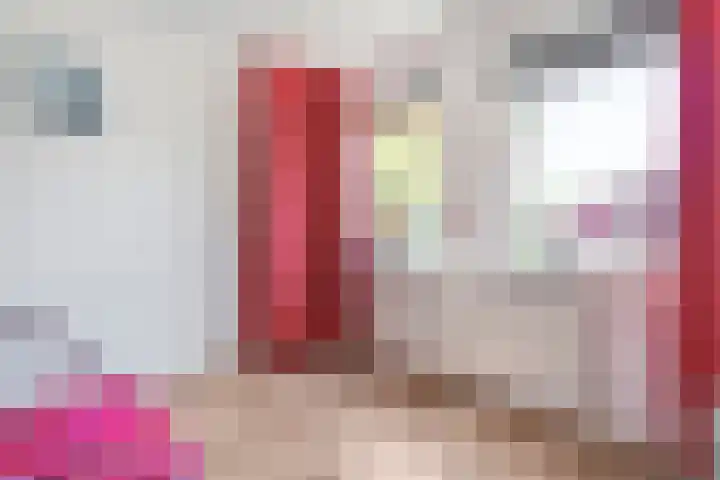 Sperwer 12 Raalte thumbnail 26