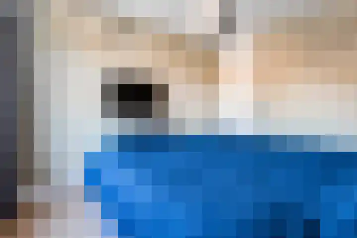 Sperwer 12 Raalte thumbnail 28