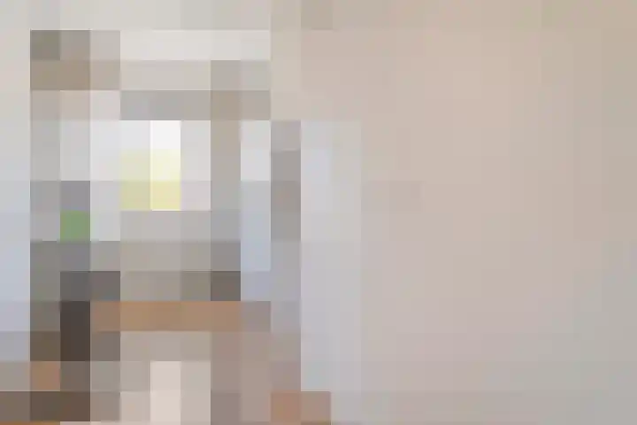 Sperwer 12 Raalte thumbnail 29