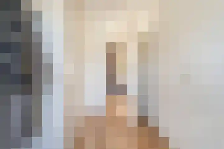 Sperwer 12 Raalte thumbnail 30