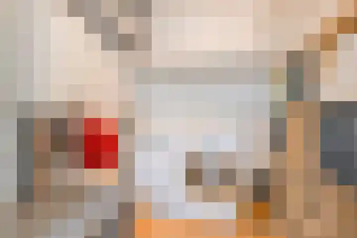 Sperwer 12 Raalte thumbnail 31