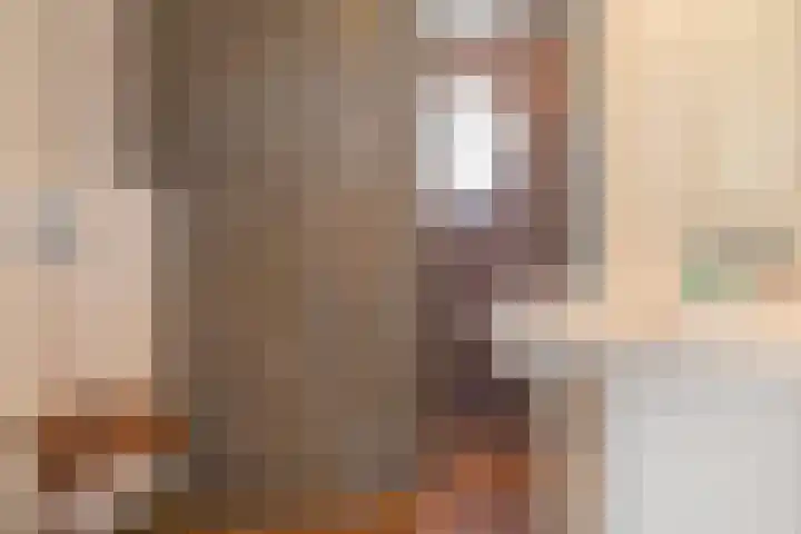 Sperwer 12 Raalte thumbnail 32