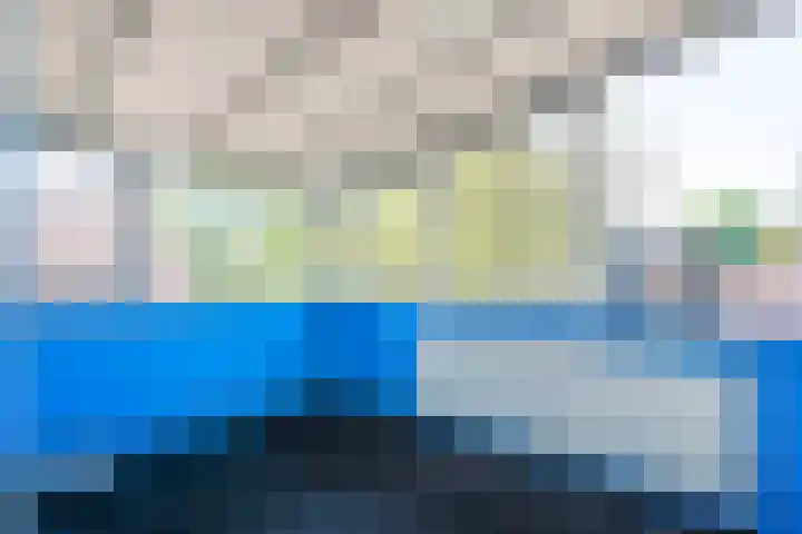 Sperwer 12 Raalte thumbnail 35