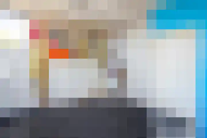 Sperwer 12 Raalte thumbnail 36