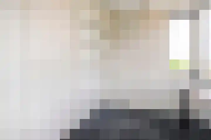 Sperwer 12 Raalte thumbnail 38