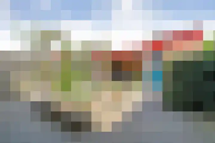 Sperwer 12 Raalte thumbnail 39