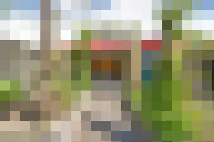 Sperwer 12 Raalte thumbnail 40