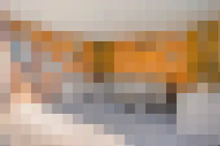 Sperwer 12 Raalte thumbnail 41