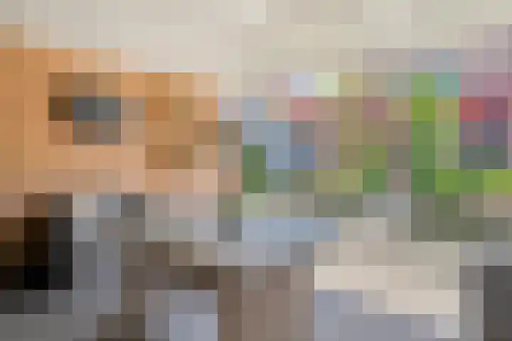Sperwer 12 Raalte thumbnail 42