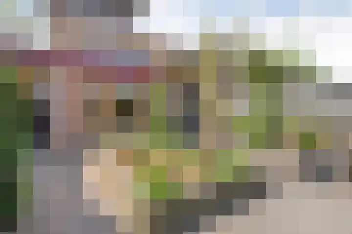 Sperwer 12 Raalte thumbnail 44