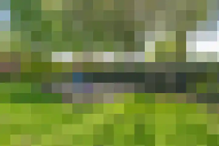Sperwer 12 Raalte thumbnail 45