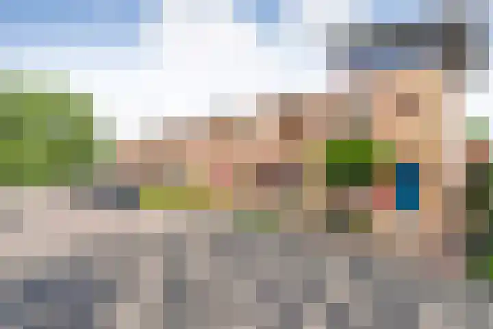 Sperwer 12 Raalte thumbnail 5
