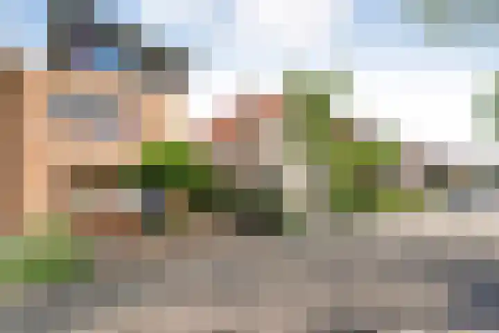 Sperwer 12 Raalte thumbnail 6