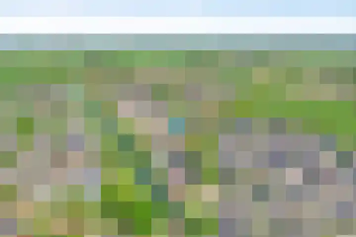 Sperwer 12 Raalte thumbnail 7