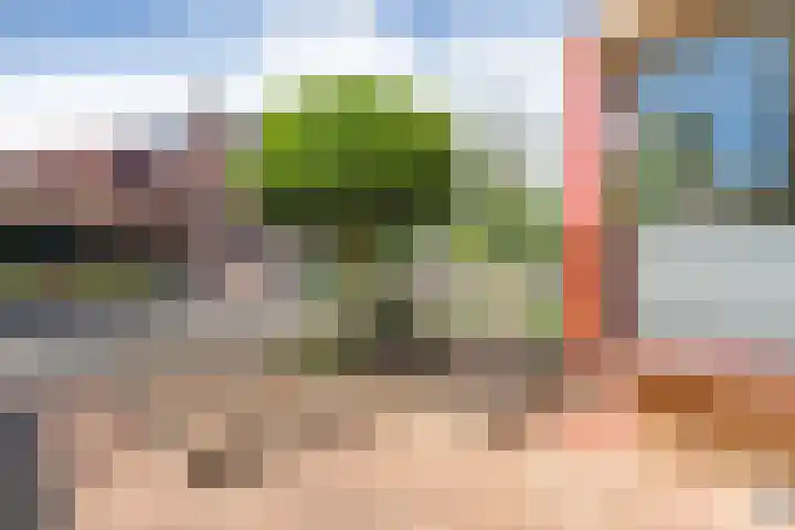 Sperwer 12 Raalte thumbnail 8