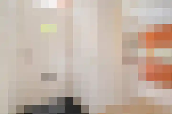 Sperwer 12 Raalte thumbnail 9