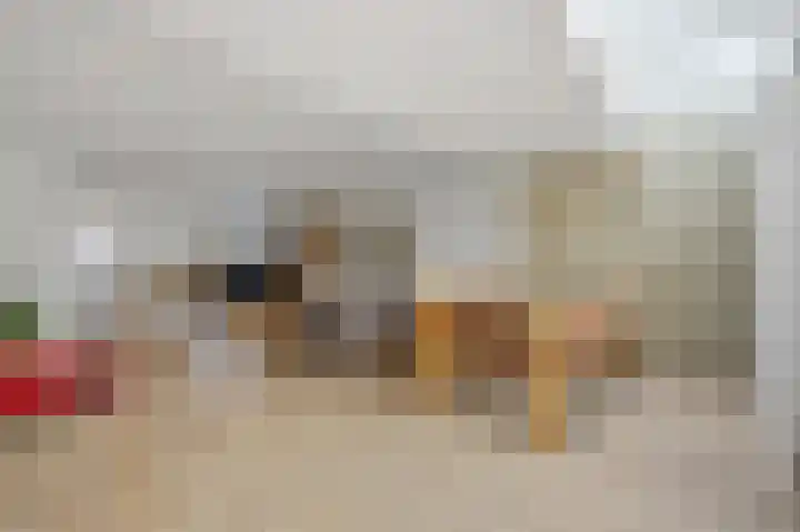 Sperwer 22 Etten-Leur thumbnail 13