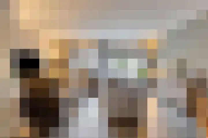 Sperwer 44 Sommelsdijk thumbnail 10