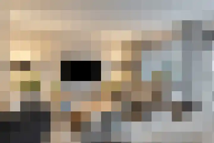 Sperwer 44 Sommelsdijk thumbnail 11