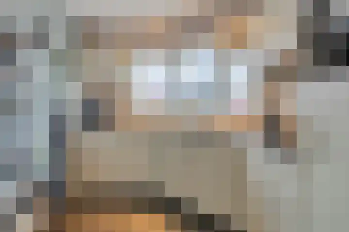 Sperwer 44 Sommelsdijk thumbnail 14