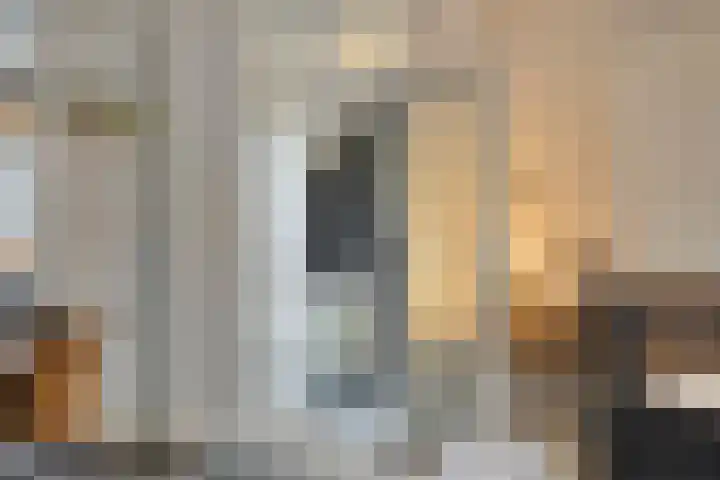 Sperwer 44 Sommelsdijk thumbnail 15