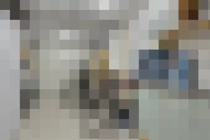 Sperwer 44 Sommelsdijk thumbnail 17