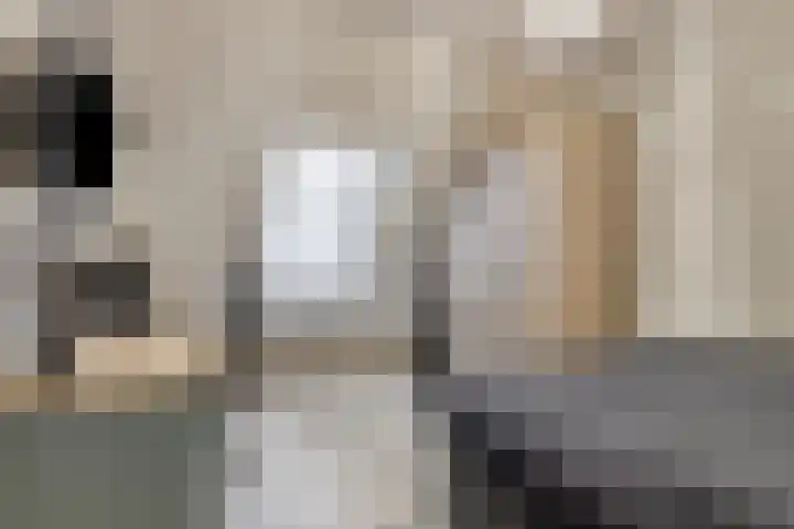 Sperwer 44 Sommelsdijk thumbnail 19