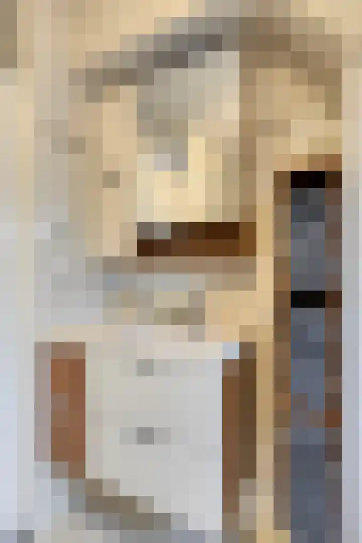 Sperwer 44 Sommelsdijk thumbnail 21
