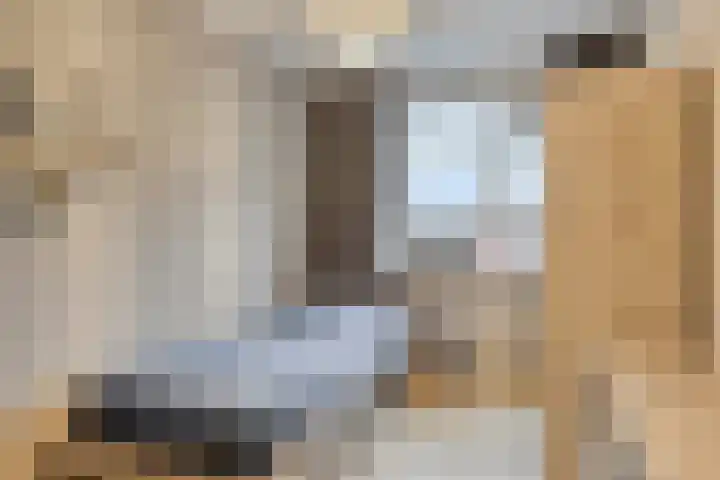 Sperwer 44 Sommelsdijk thumbnail 23